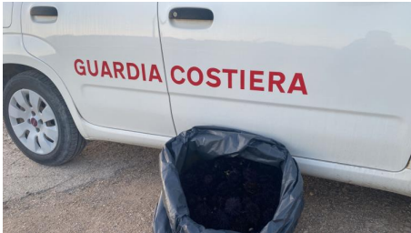 sanzionato perchè pescava ricci