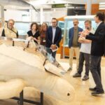 Mostra sul Mar Mediterraneo e tutela delle tartarughe marine