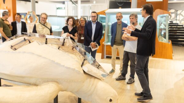 Mostra sul Mar Mediterraneo e tutela delle tartarughe marine